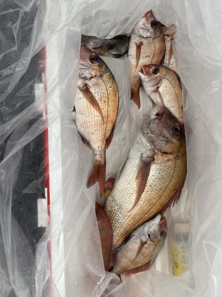 一つテンヤ、SLJ