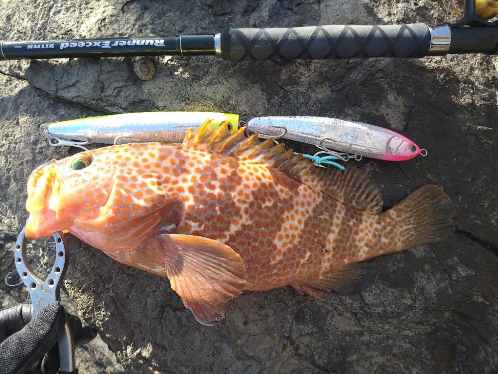 年明け神の島釣行