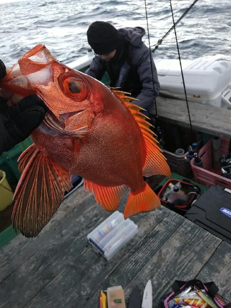 チカメキントキ狙いで