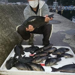 クロ釣り(畝刈)