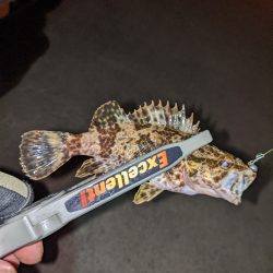 わかってたけど…