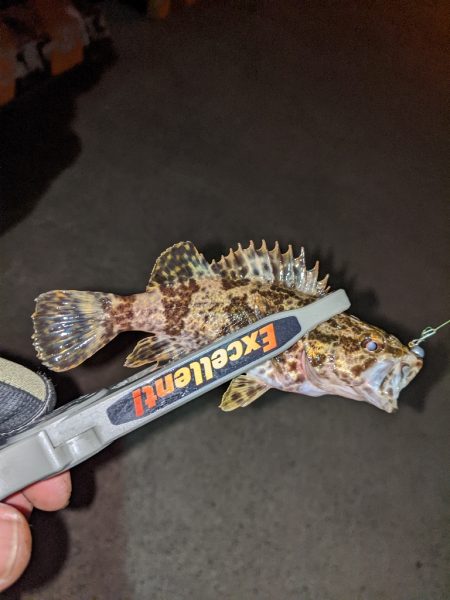 わかってたけど…