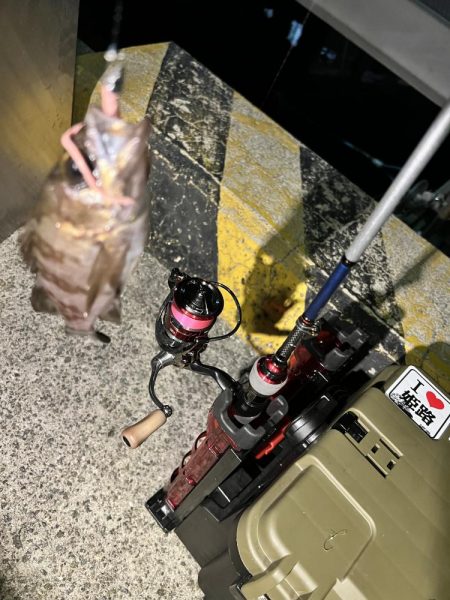 アジングも終盤？