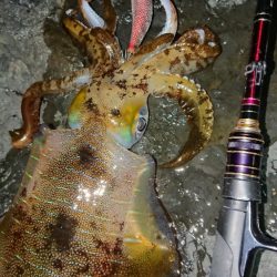 爆風・極寒エギングIN対馬