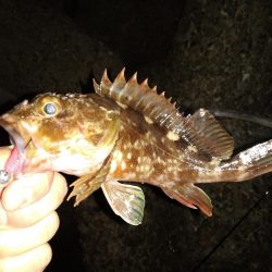 ちょい釣り20230106