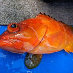 激渋でした (ㅇ_ㅇ)