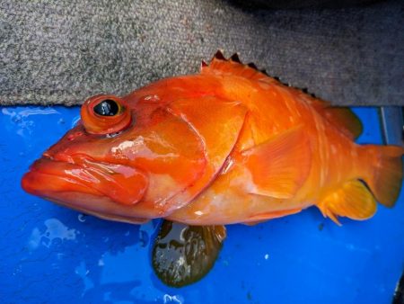 激渋でした (ㅇ_ㅇ)