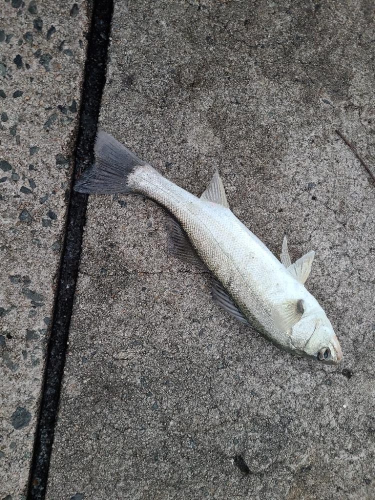 今年初の遠征(前半)