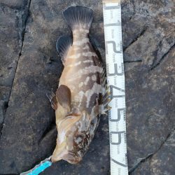 とんでもないものが釣れました！