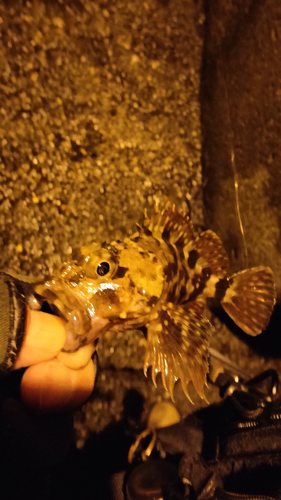 あやしい天気ですが