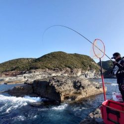 和歌山市江（吉丸渡船）でグレ釣り
