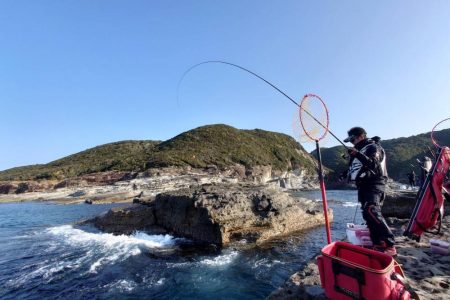 和歌山市江（吉丸渡船）でグレ釣り