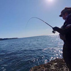 和歌山市江（吉丸渡船）で磯フカセ