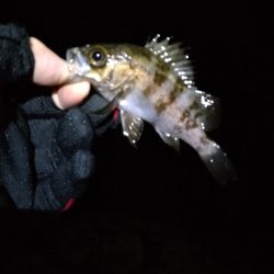 厳しい季節です