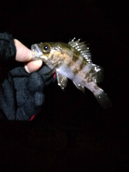 厳しい季節です