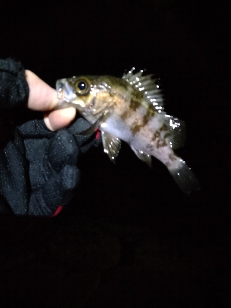 厳しい季節です