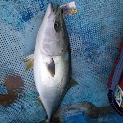 年始最初の釣り☆