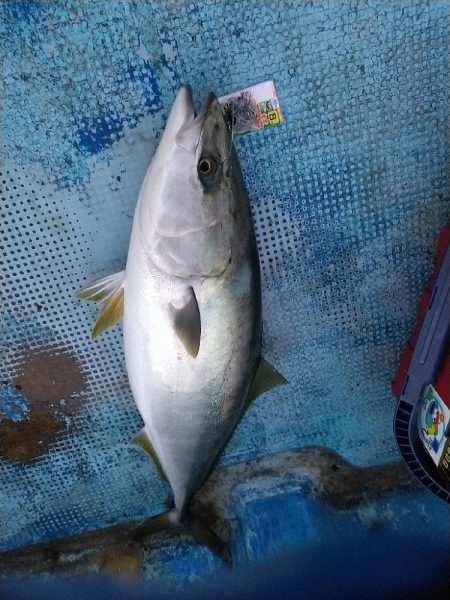 年始最初の釣り☆