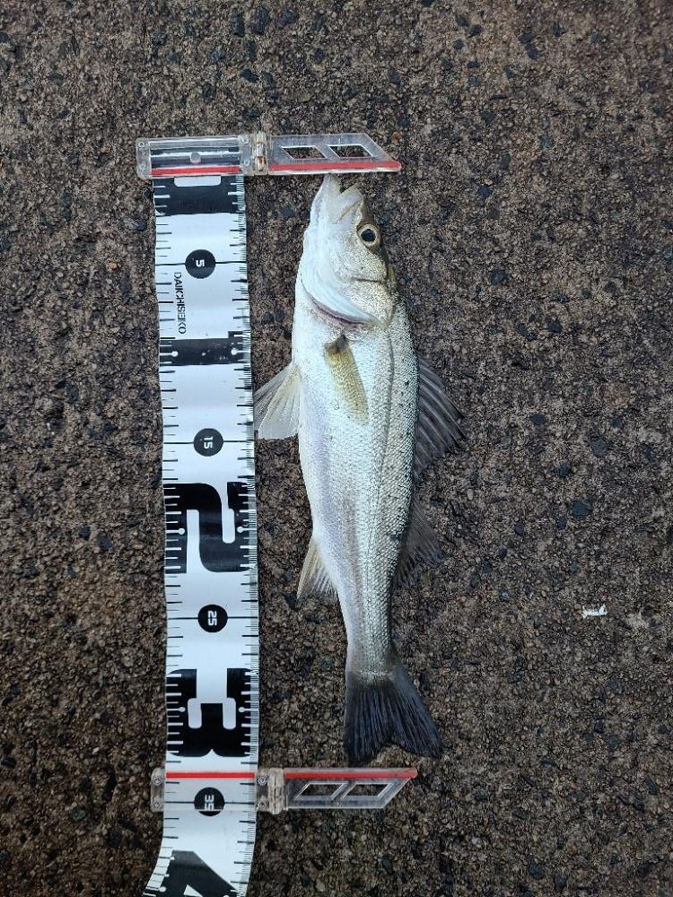 今年初の遠征(後半)