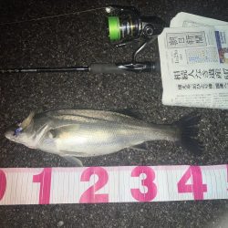 ががっときました。