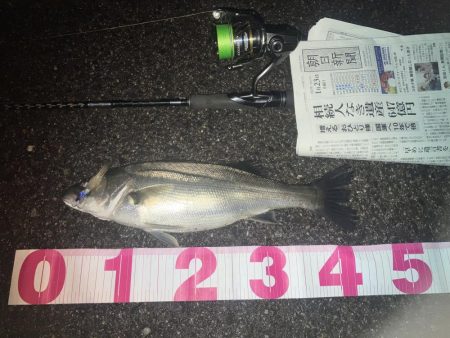 ががっときました。