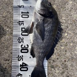 イチノ兄弟（兄）釣果！