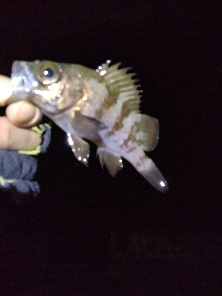 そんなオイシイ話はありません