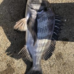 イチノ兄弟(兄)釣果!