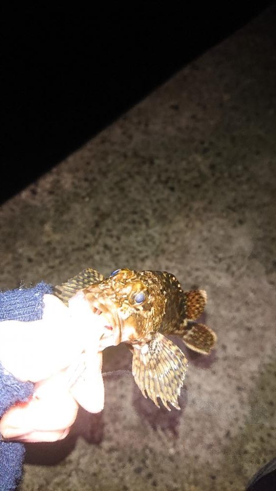 年明け1発目に事故🎵