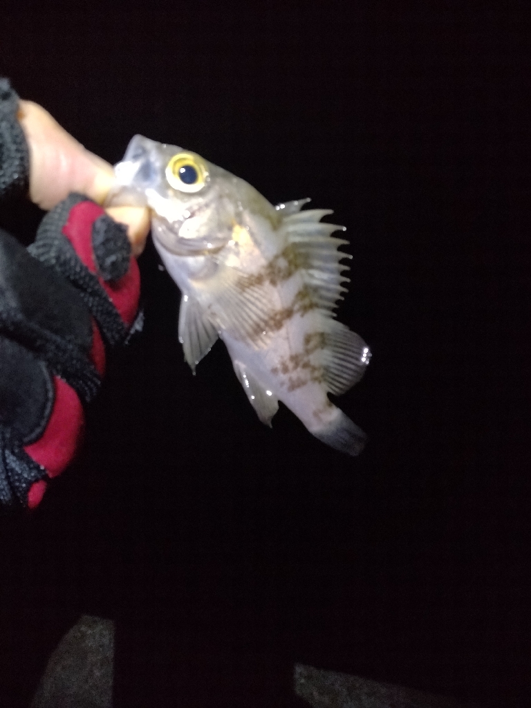 厳しい季節です