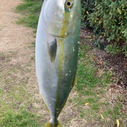 ライトショアジギング