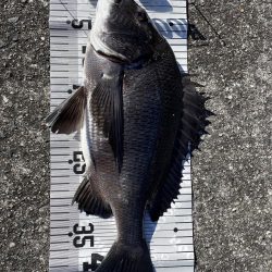 イチノ兄弟（兄）釣果！