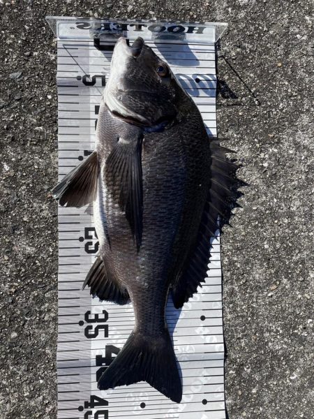 イチノ兄弟（兄）釣果！