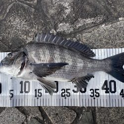 イチノ兄弟(兄)釣果!