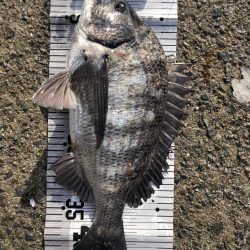 イチノ兄弟（兄）釣果！