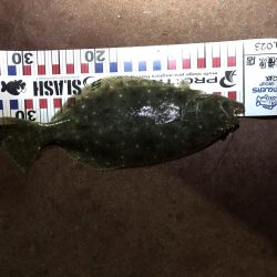 初釣り！初FISH！