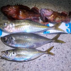 やっぱり　難しいです。