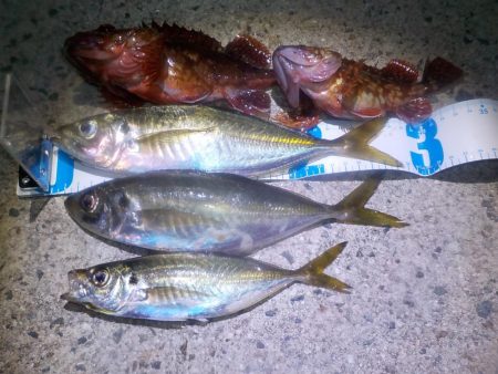 やっぱり　難しいです。