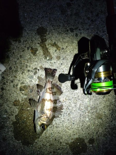 満月はアカンの？