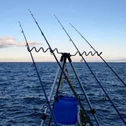 ちょい投げ釣りで