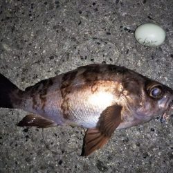 潮が止まるまでの勝負