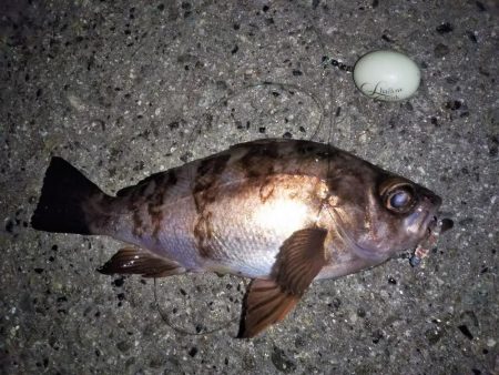 潮が止まるまでの勝負