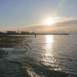 初釣り釣果はシーバス