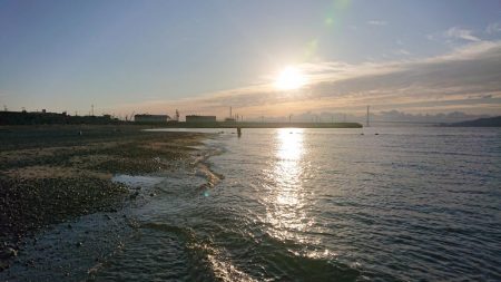 初釣り釣果はシーバス