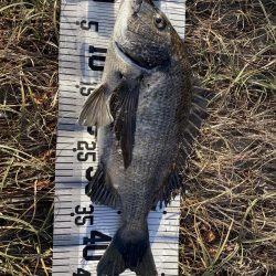 イチノ兄弟（兄）釣果！