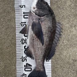 イチノ兄弟(兄)釣果!