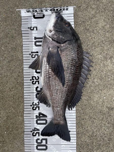 イチノ兄弟(兄)釣果!