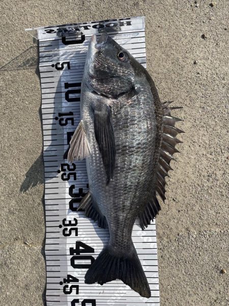 イチノ兄弟（兄）釣果！