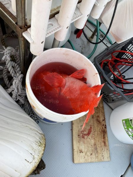 和歌山沖深海釣り