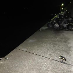 太刀魚ワインド